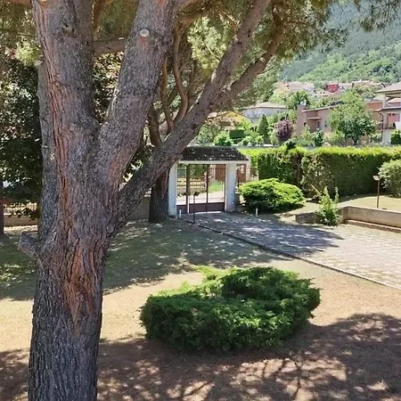 Pina LʼAquila