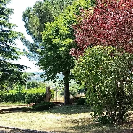 Pina L'Aquila