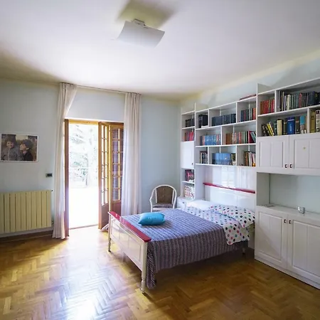 Pina فيلة LʼAquila